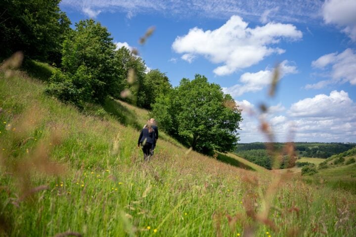 picture from nature-protected area in Denmark, Vejle Ådal
