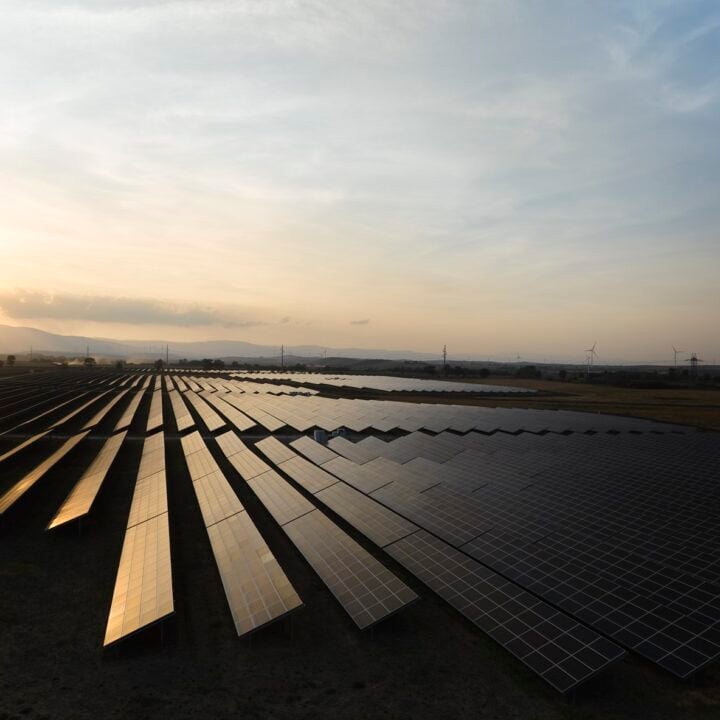 Solar park with sun setting