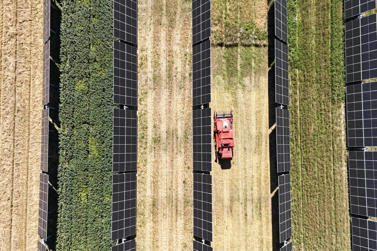 European Energy wins its first tenders in France on two agrivoltaic ...