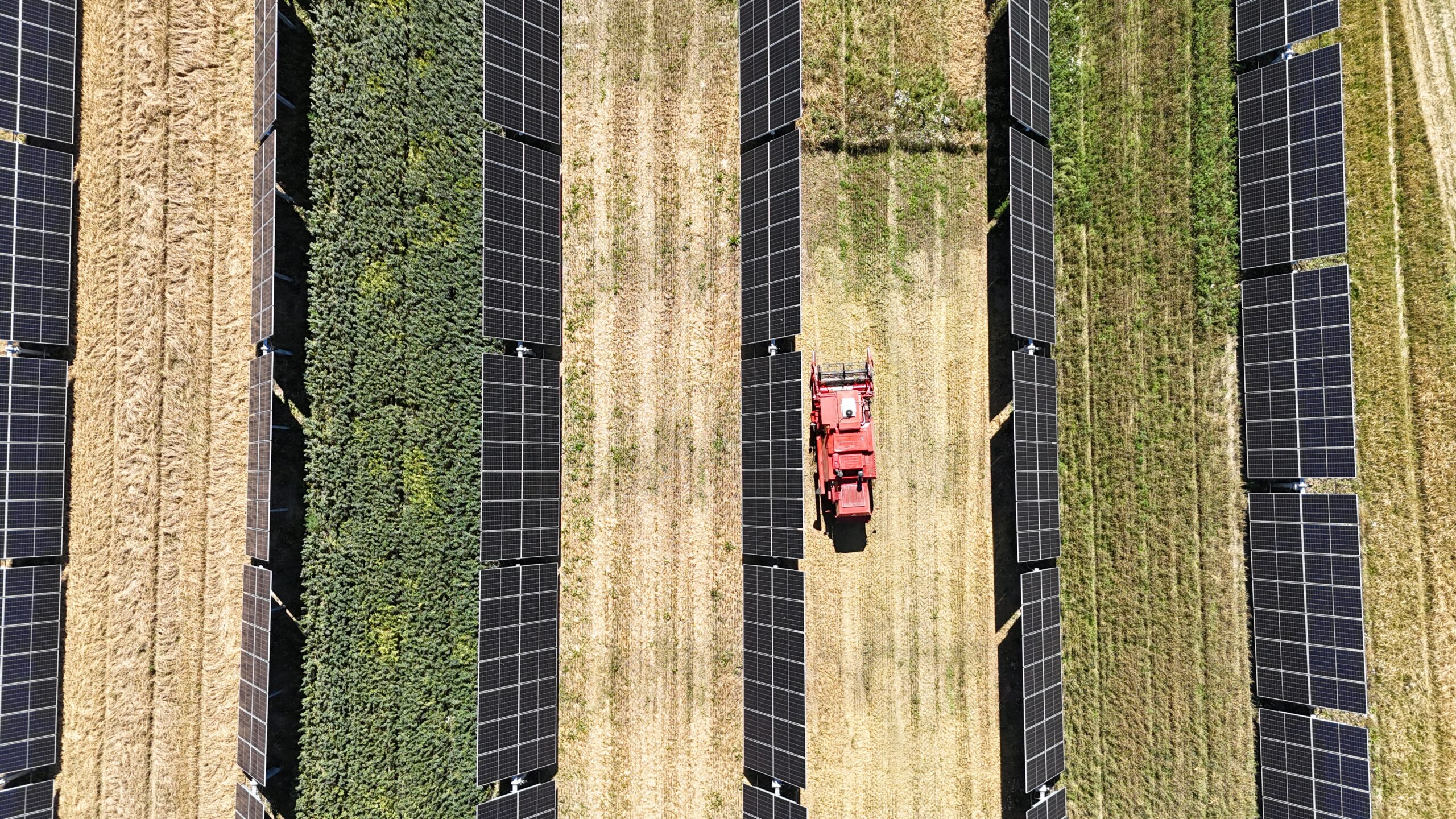 European Energy wins its first tenders in France on two agrivoltaic ...