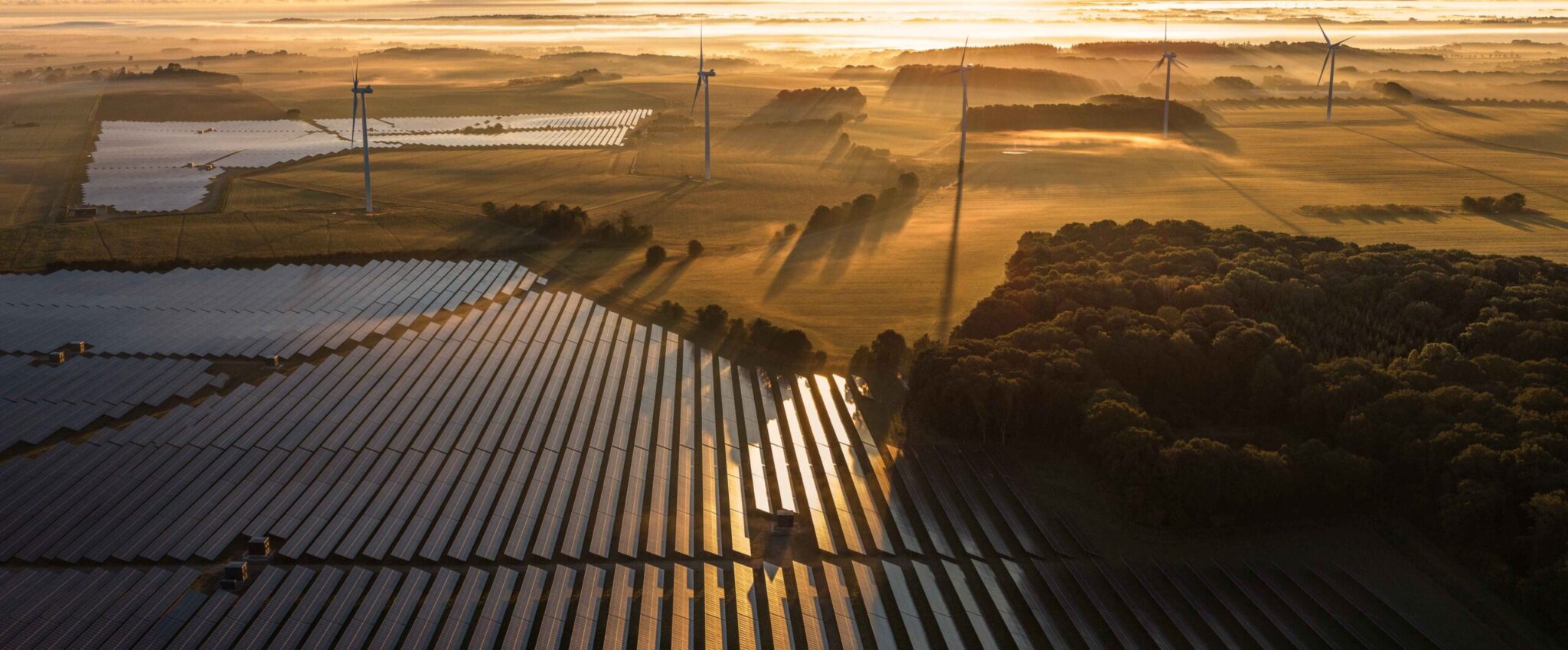 Accelerate world-class core in solar and wind | Annual Report 2025 ...